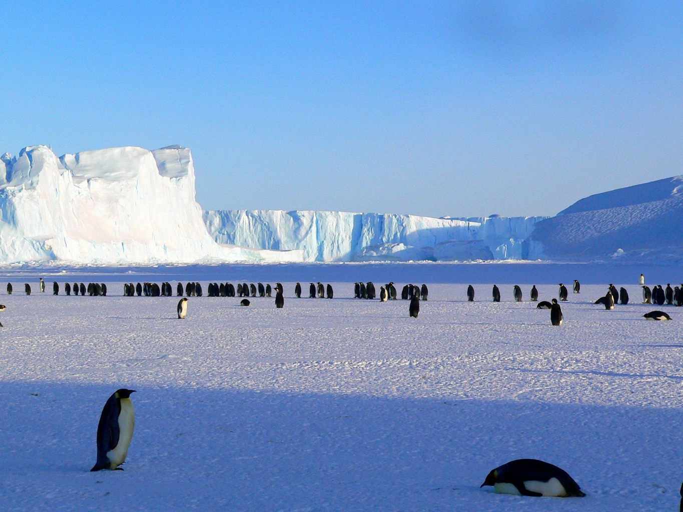 /d/evt/AntarcticaChallenge/1702290873175.jpg