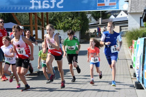 /d/evt/BrohlbachtalLaufMitHalbmarathonGamlen/1587481024847.jpg