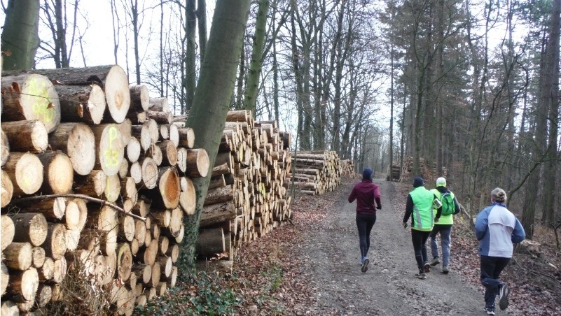 /d/evt/BrunnenlaufSachsenringlaufBadDriburgBadDriburg/1587481676731.jpg