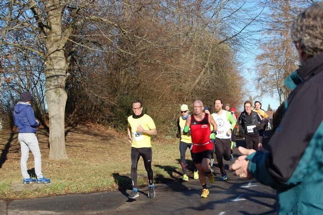 /d/evt/DegerlocherVolkslaufHoffeld/1587379272667.jpg