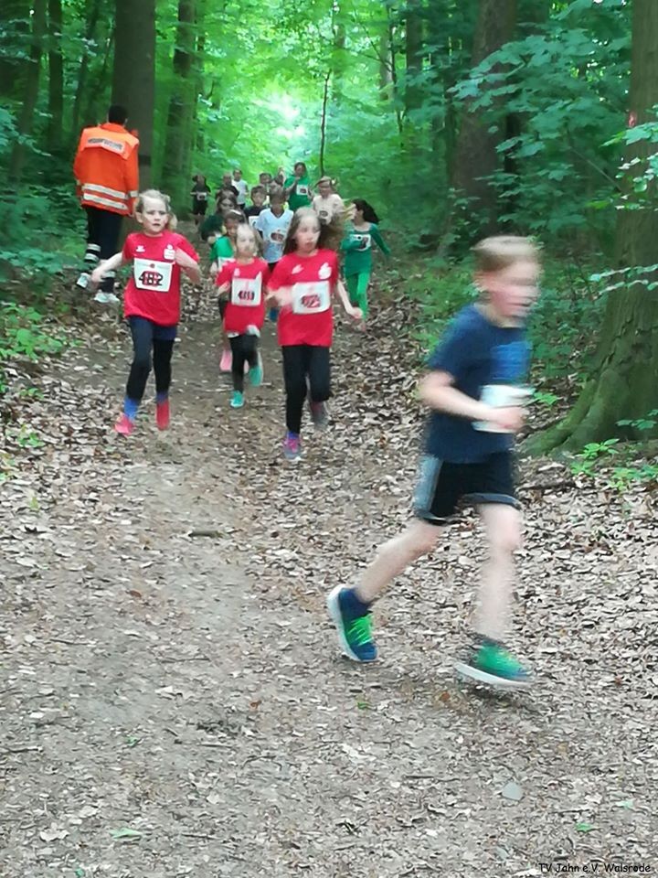 /d/evt/EckernworthWaldlaufWalsrode/1594984765866.jpg