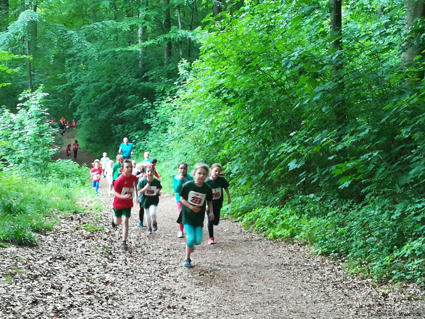 /d/evt/EckernworthWaldlaufWalsrode/1594984766720.jpg