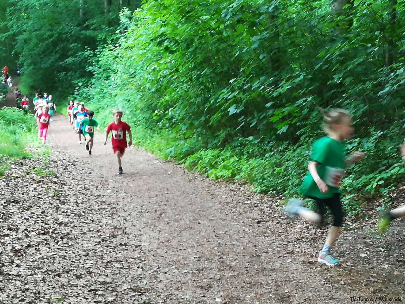 /d/evt/EckernworthWaldlaufWalsrode/1594984767279.jpg