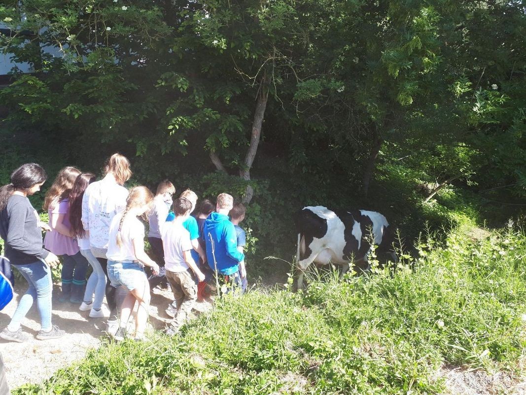 /d/evt/ElliehuserWandertagGttingen/1634470606080.jpg