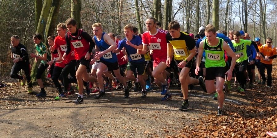 /d/evt/FlminglaufGeneraliVitalityLaufLutherstadtWittenberg/1597048445542.jpg