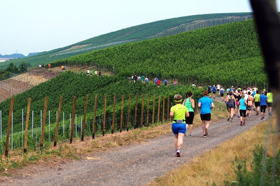 /d/evt/FlminglaufGeneraliVitalityLaufLutherstadtWittenberg/1597048445652.jpg