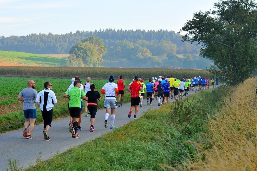 /d/evt/FlminglaufGeneraliVitalityLaufLutherstadtWittenberg/1597048445872.jpg