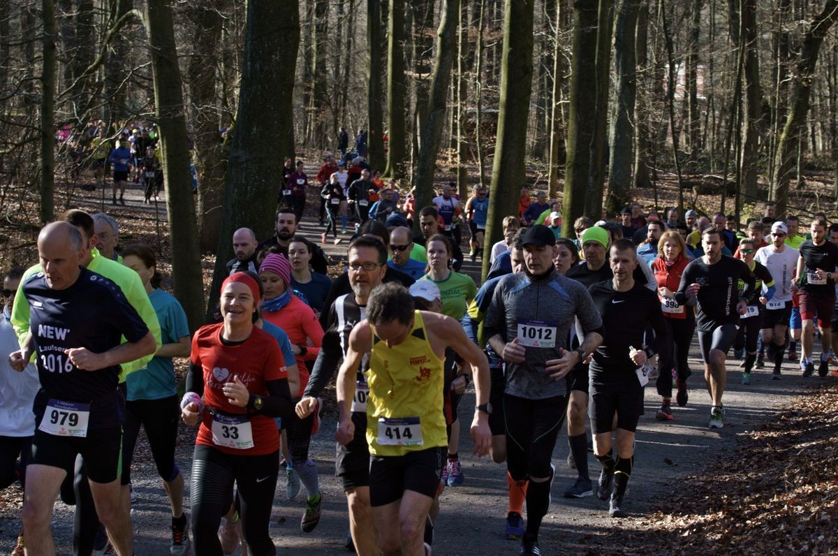 /d/evt/FlminglaufGeneraliVitalityLaufLutherstadtWittenberg/1597048445996.jpg