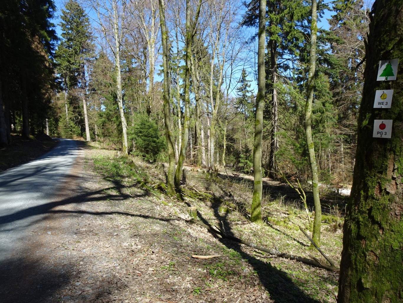 /d/evt/HeilklimaWanderwegWindeckWE3KnigsteinimTaunus/1603537999318.jpg