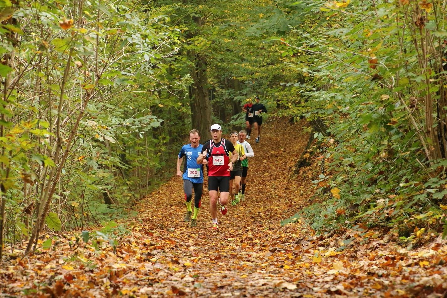 /d/evt/HerbstlaufWaldkraiburg/1594271107137.jpg