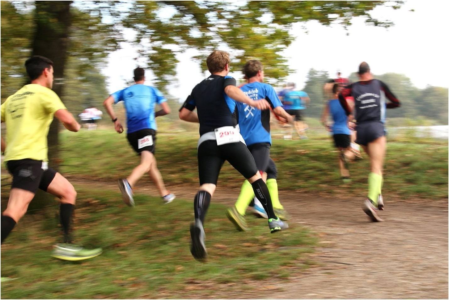 /d/evt/HerbstlaufWaldkraiburg/1594271108415.jpg