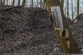 /d/evt/HinkelsteinWandermarathonTrailOtterberg/1635342390734.jpg