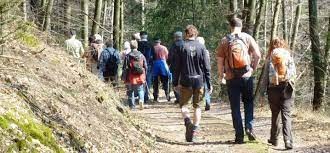 /d/evt/HinkelsteinWandermarathonTrailOtterberg/1635342390767.jpg