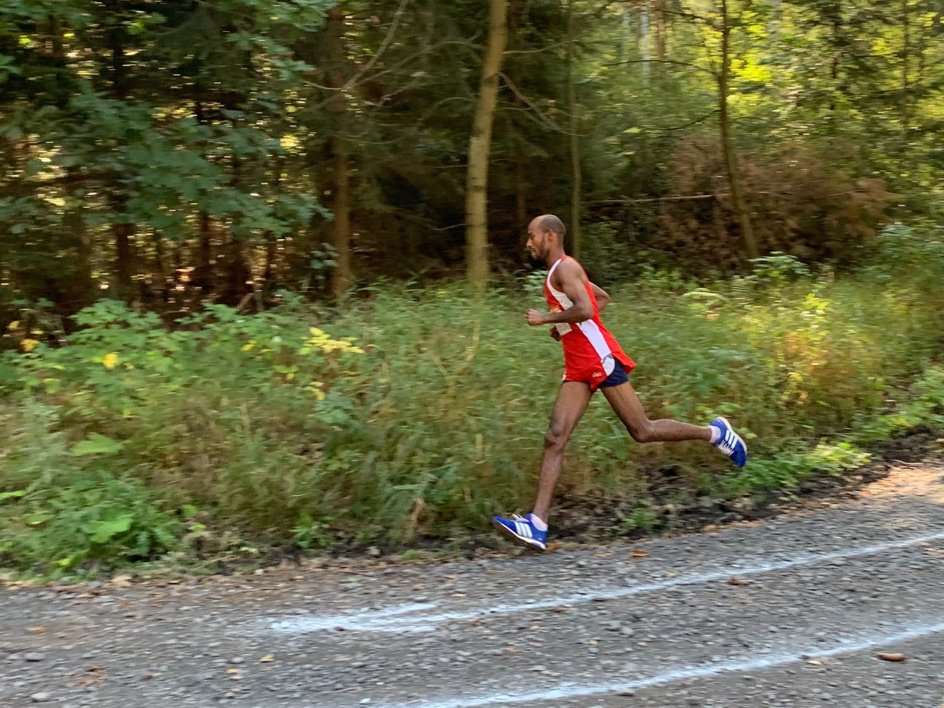/d/evt/HolzlandlaufHermsdorf/1592989424021.jpg