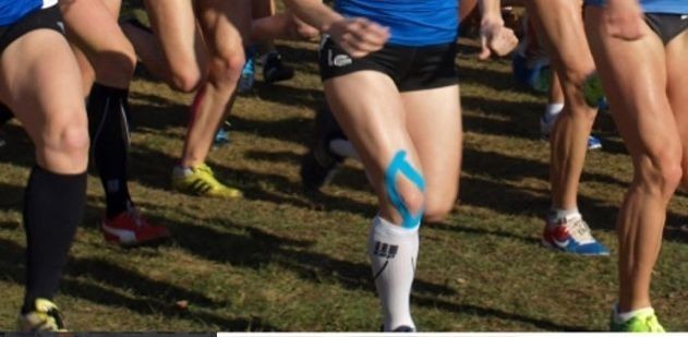 /d/evt/JetzendorferHobbyCrosslaufJetzendorf/1616963168582.jpg