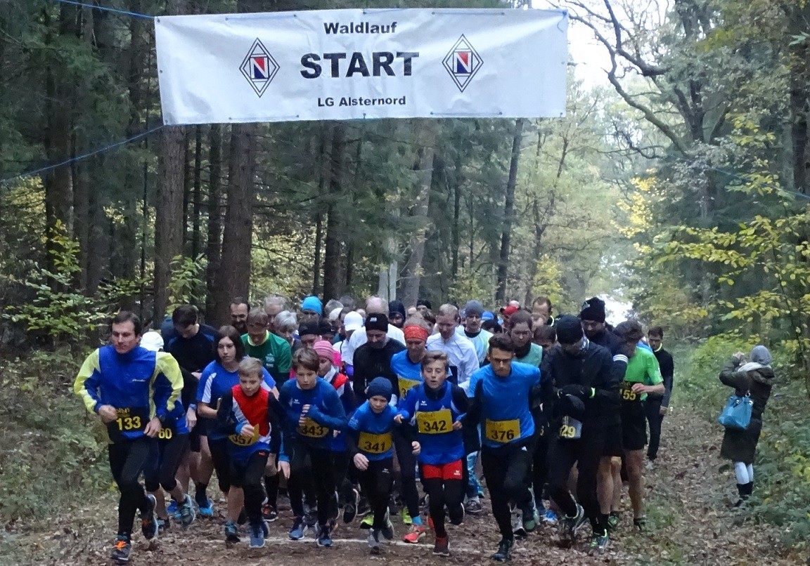 /d/evt/LgAlsternordHerbstwaldlaufNorderstedt/1598777536166.jpg