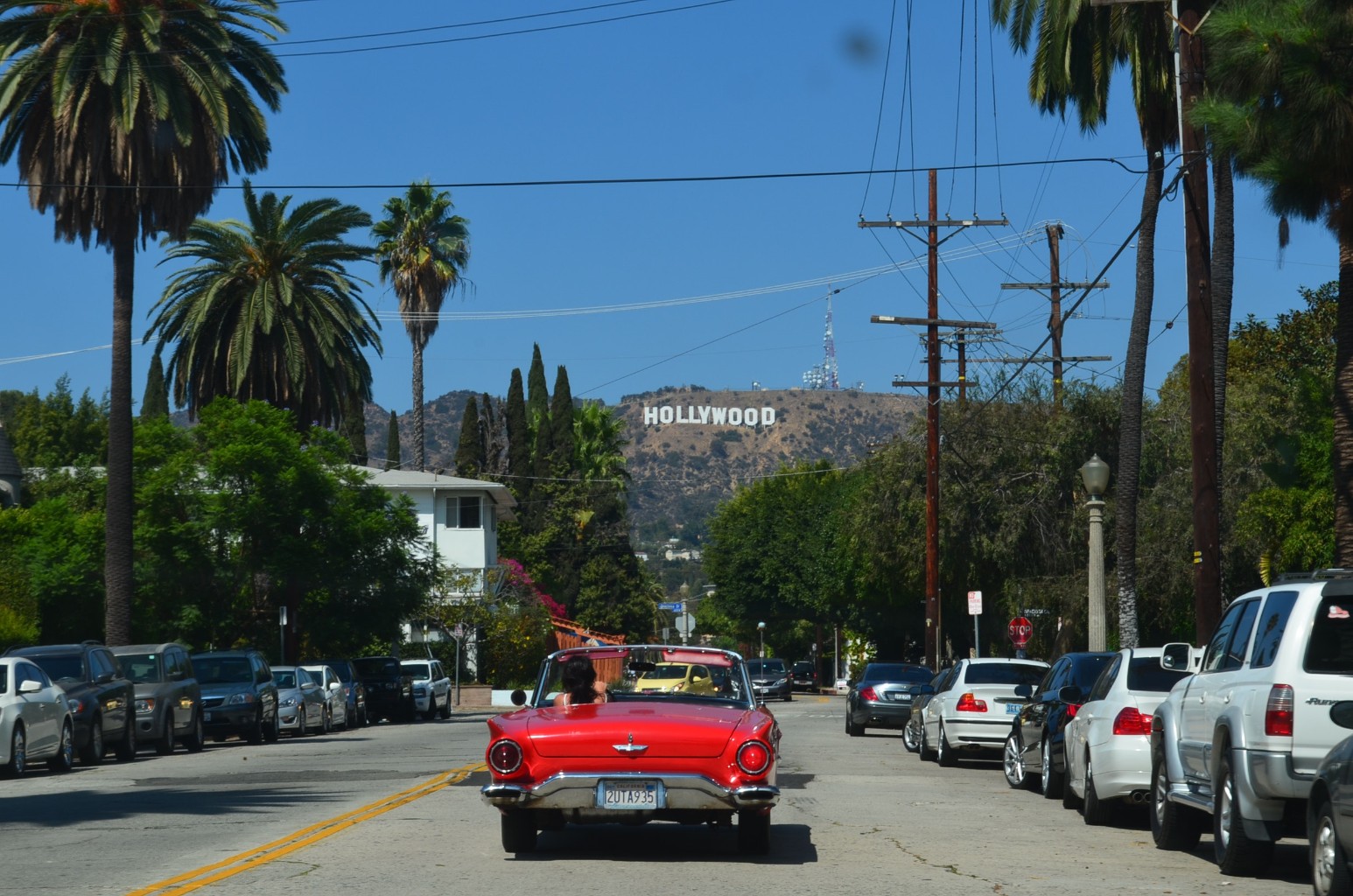 /d/evt/LosAngelesDigitalRun/1621245410017.jpg