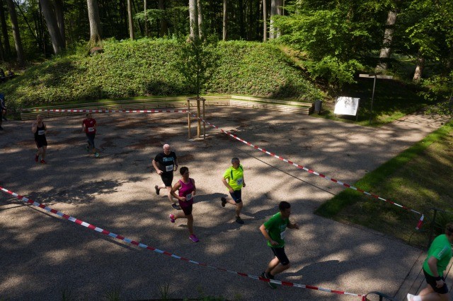 /d/evt/LudwigslusterSchlossgartenlaufLudwigslust/1588527983540.jpg