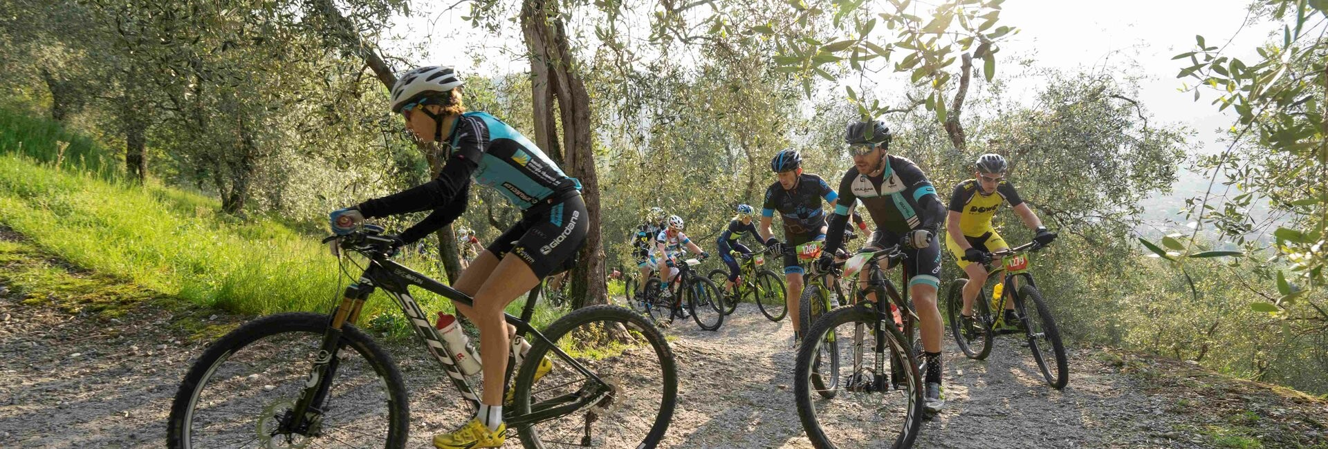 /d/evt/MTBGardaMarathonGarda/1725539307428.jpg