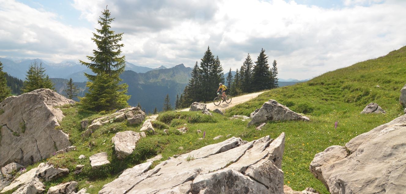 /d/evt/MTBMarathonPfrontenPfronten/1593181533753.jpg