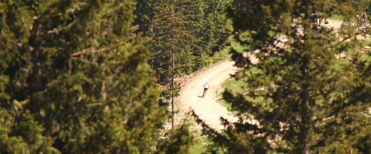 /d/evt/MTBMarathonPfrontenPfronten/1593181565078.jpg