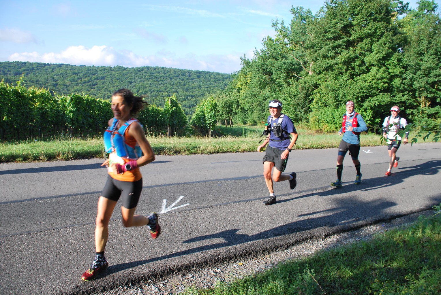 /d/evt/MaintalUltratrailVeitshchheim/1587130904863.jpg