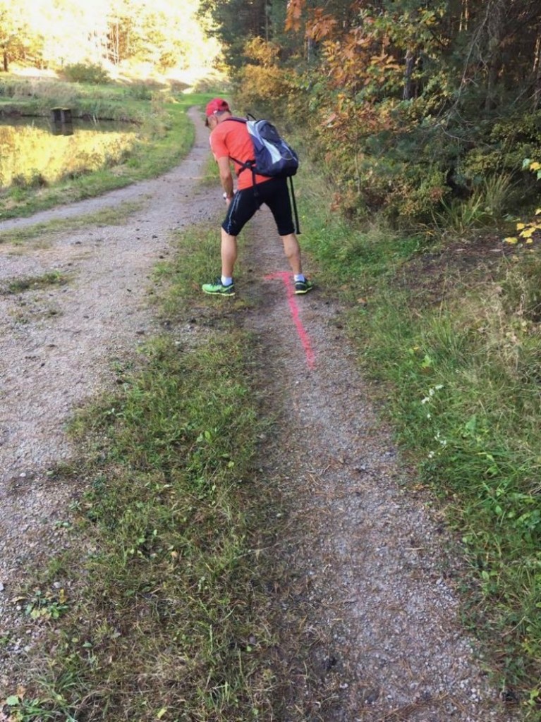 /d/evt/MhrendorferKarpfenweiherlaufMhrendorf/1599143124983.jpg