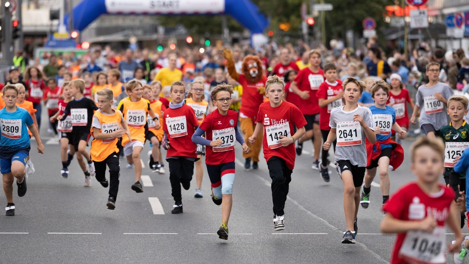 /d/evt/NachtlaufBraunschweigBraunschweig/1725888403051.jpg