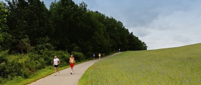 /d/evt/NeubrandenburgerTollenseseelaufNeubrandenburg/1588266217794.jpg