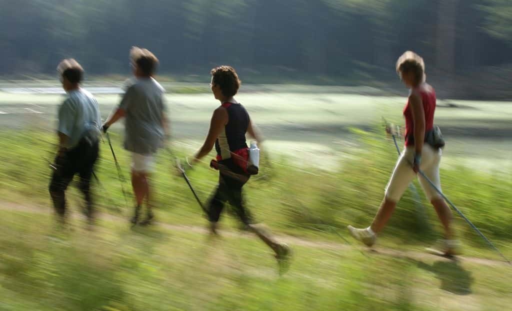 /d/evt/NordicWalkingTagEhingenEhingen/1726499244199.jpg