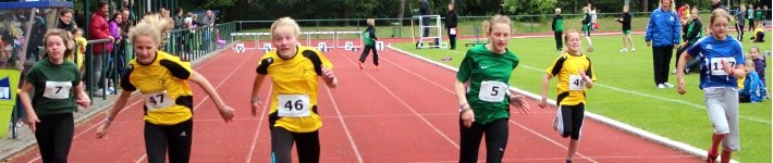 /d/evt/OlbCityLaufPapenburgPapenburg/1584441938884.jpg