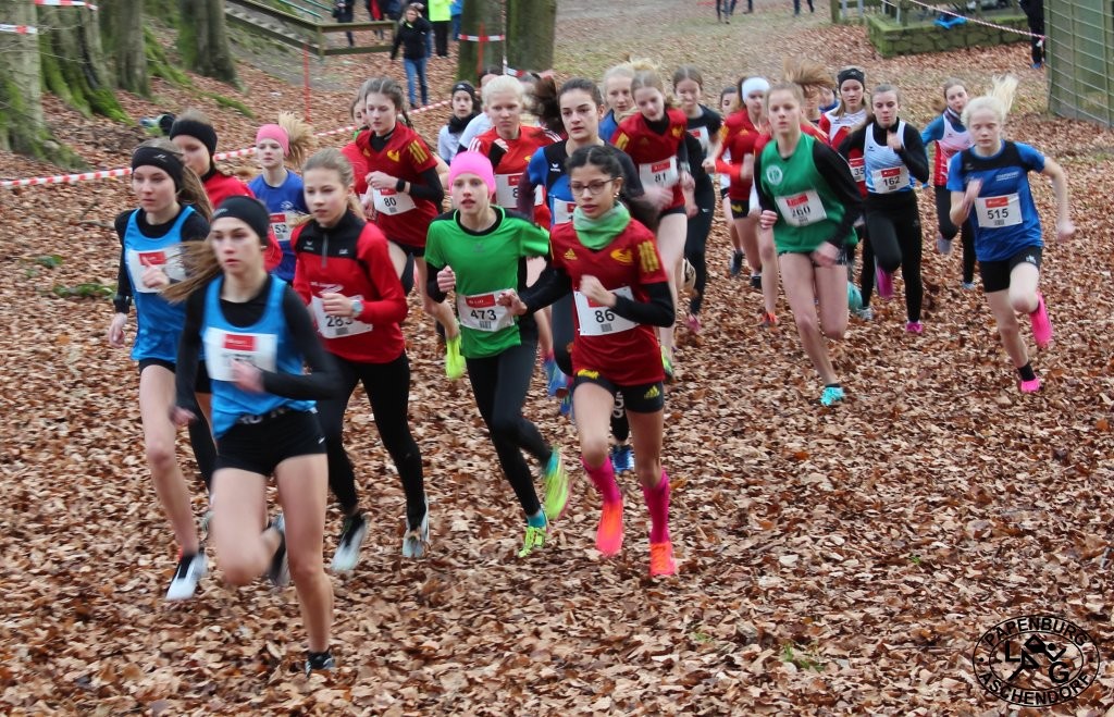 /d/evt/OlbCityLaufPapenburgPapenburg/1584441939219.jpg