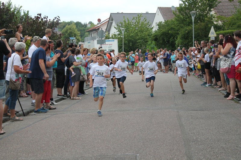 /d/evt/ParkfestlaufGemmingen/1587564290310.jpg