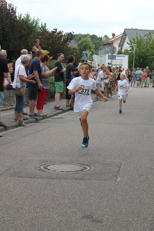 /d/evt/ParkfestlaufGemmingen/1587564290528.jpg