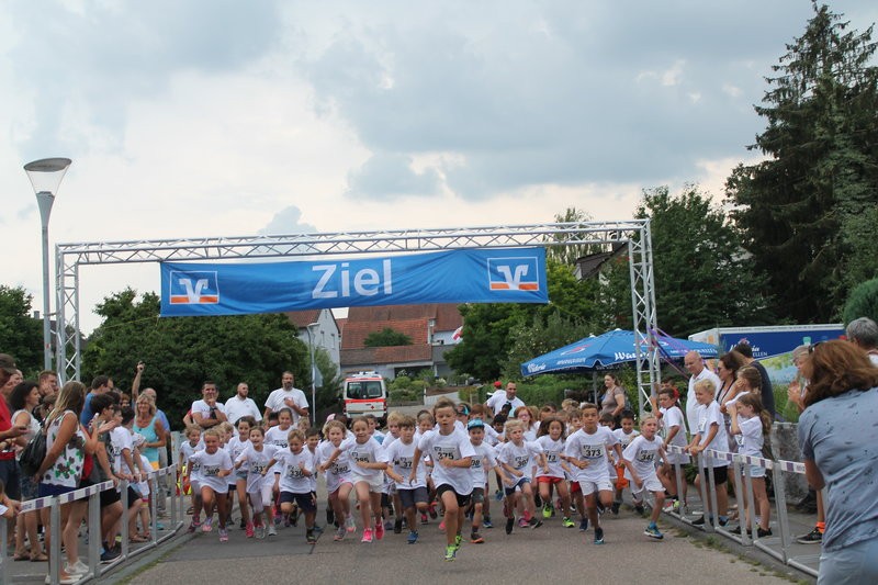/d/evt/ParkfestlaufGemmingen/1587564290646.jpg