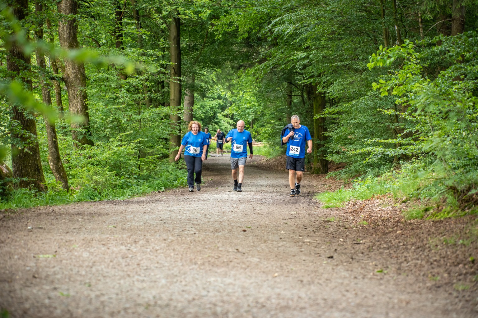 /d/evt/PferdWerkzeugeLaufMarienheide/1586687910642.jpg