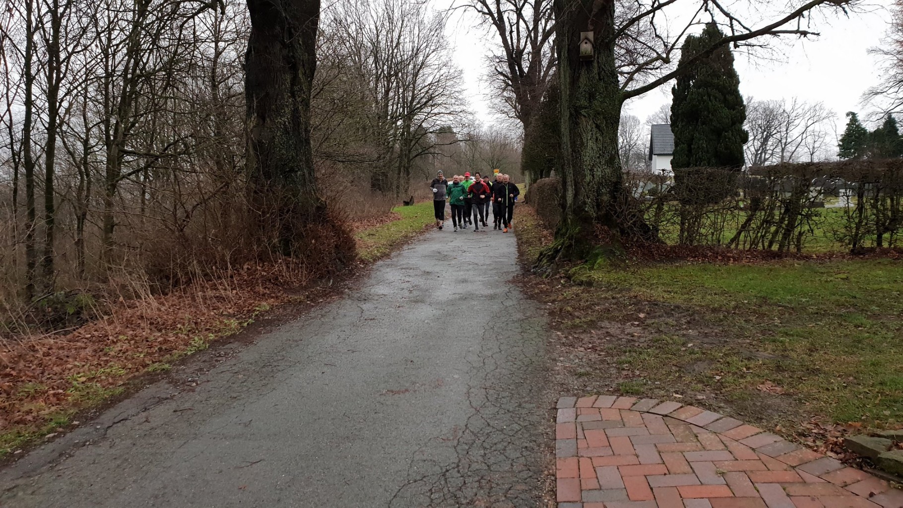 /d/evt/PfingstlaufKollerbeckMarienmnster/1586685745724.jpg