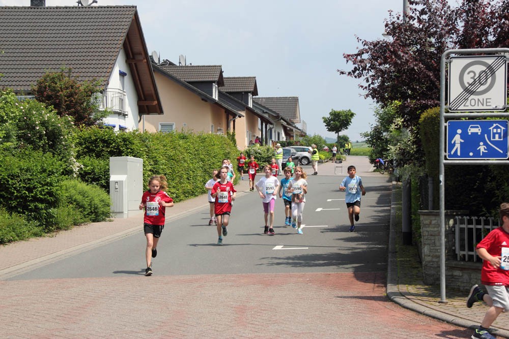 /d/evt/RotaryStadtlaufcambergBewegtSichBadCamberg/1586884074164.jpg