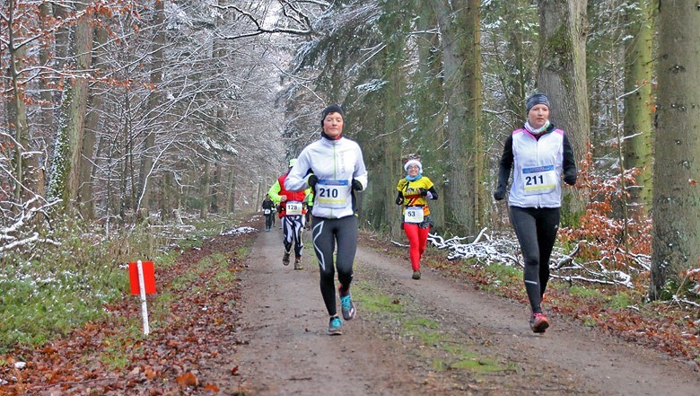 /d/evt/SchmillinghuserVolkslaufBadArolsen/1589275185413.jpg