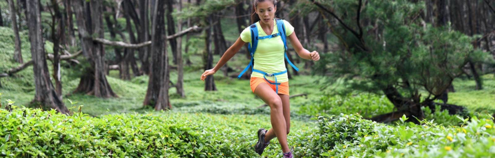 /d/evt/SchnbuchTrophyTrailRunHerrenberg/1585931215397.jpg