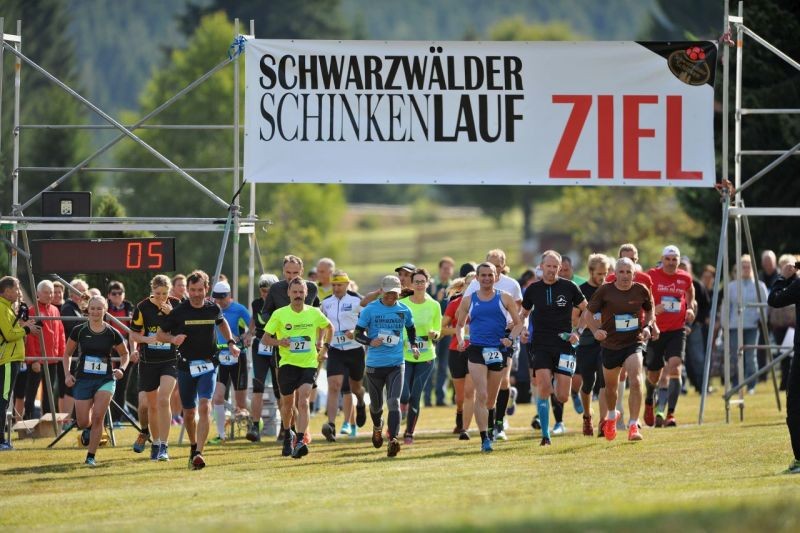 /d/evt/SchwarzwlderSchinkenlaufAltglashttenFeldberg/1587728782986.jpg