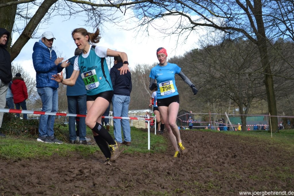 /d/evt/SilvesterlaufZossenLudwigsfeldeLudwigsfelde/1592245146835.jpg