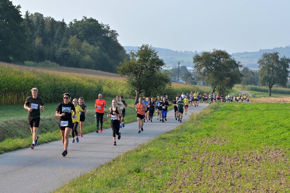 /d/evt/SparkasseKraichgauLaufSinsheimRohrbach/1699524771353.jpg