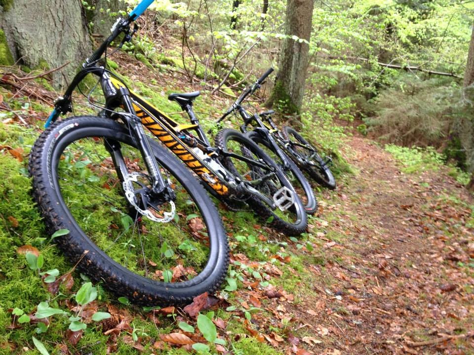 /d/evt/SpecializedSauserExpressHerrenberg/1592831261200.jpg