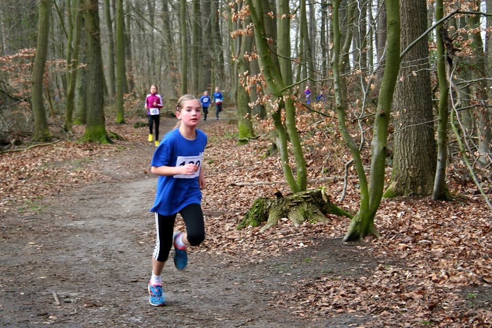 /d/evt/StaderAltstadtlaufStade/1588965498976.jpg