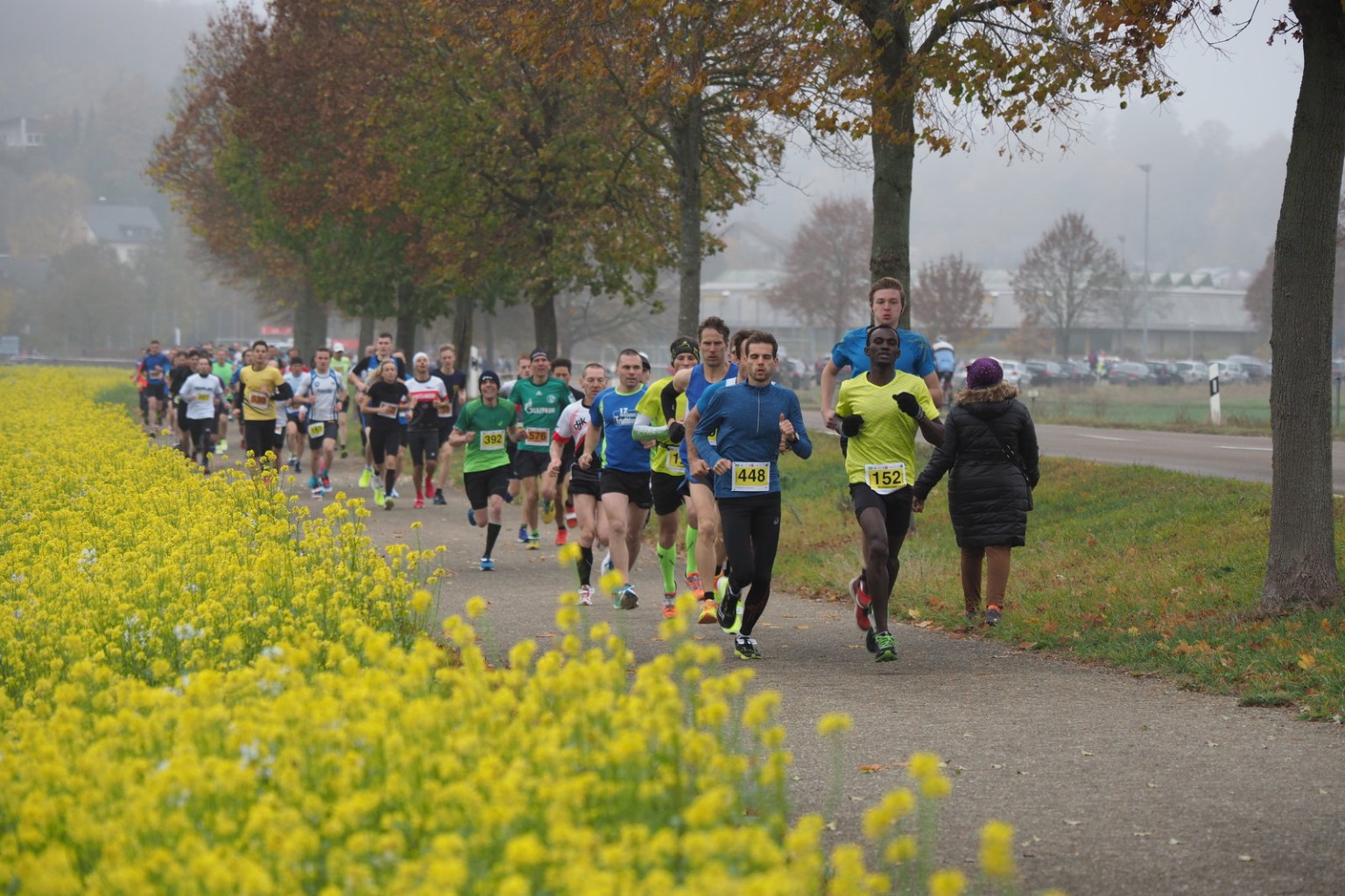 /d/evt/SteinheimerGeologenlaufSteinheimamAlbuch/1599470467223.jpg