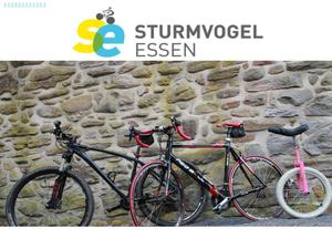 /d/evt/StormbirdCtfEssen/9784259-lnkSitet.jpg