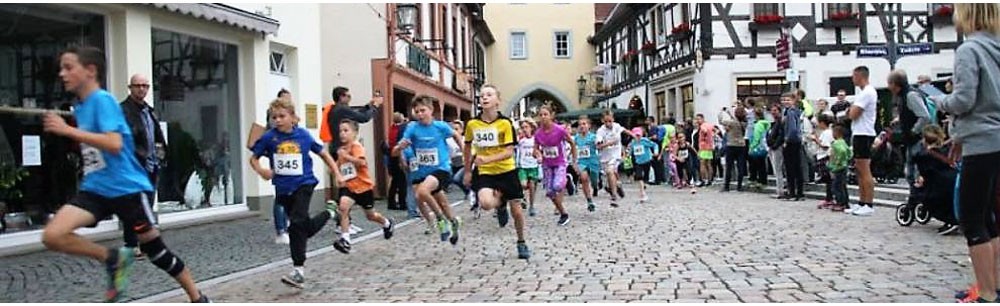/d/evt/VentecResidenzfestlaufKirchheimbolanden/1587634321961.jpg