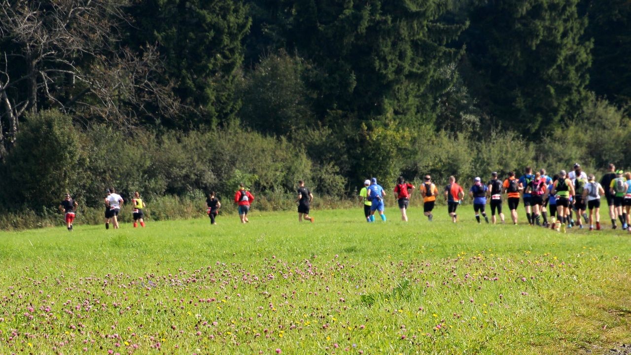 /d/evt/VogelsbergerVulkanTrailSchotten/1594113460433.jpg