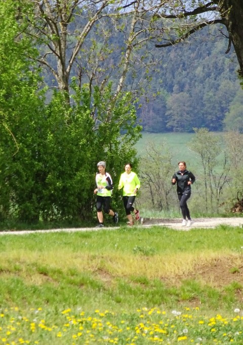/d/evt/VolkslaufWeienbrunnWeienbrunn/1587559746918.jpg